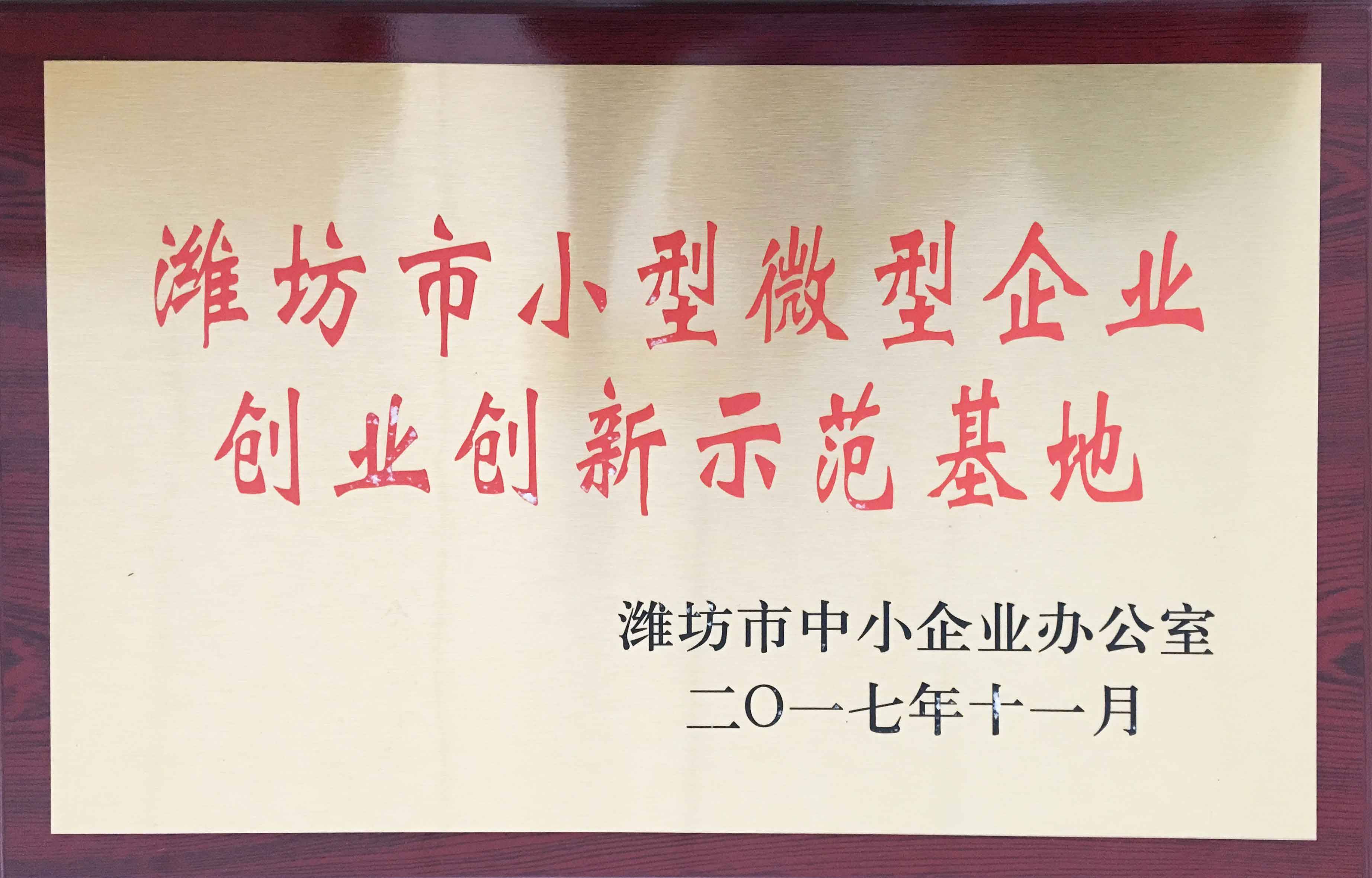 17年市小型微型創(chuàng)新創(chuàng)業(yè)示范基地-(2)