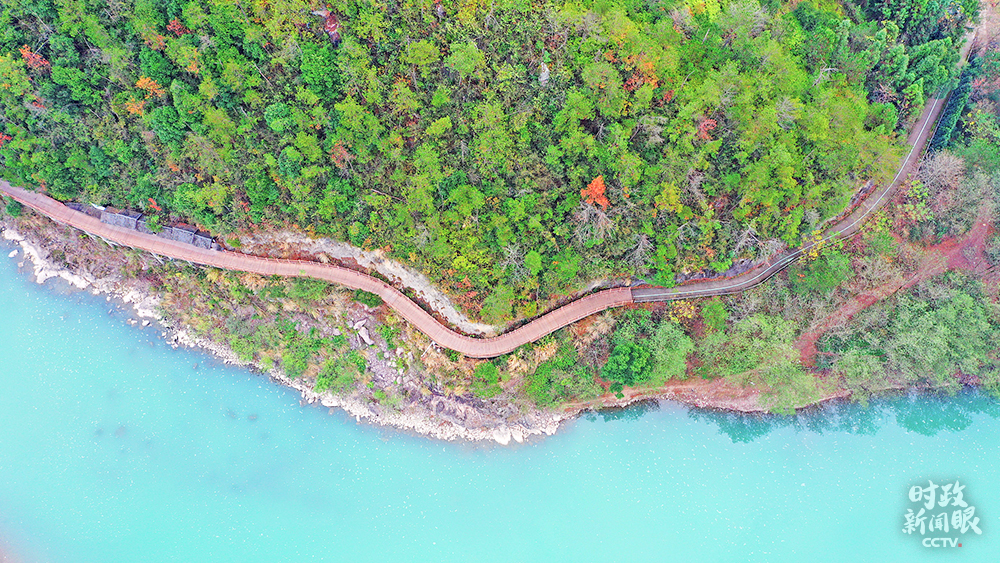 △浙江仙居縣建設鄉村田園生態綠道，不僅方便村民出行，更帶動鄉村旅游和村民增收。